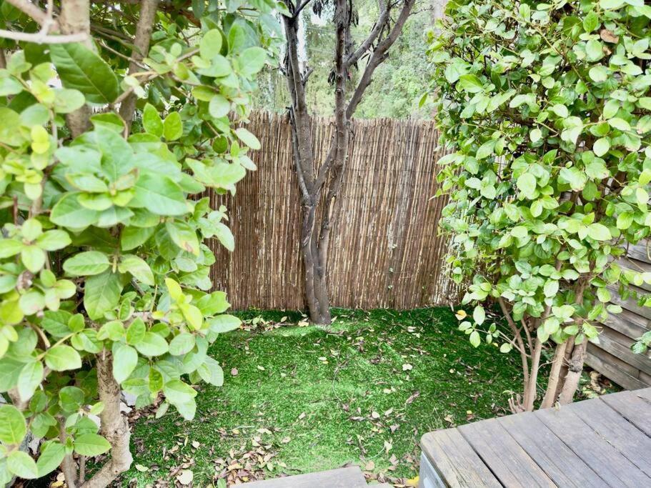 Maison Au Calme 2 Chambres Terrasse Clim Parking Gratuit Montpellier Dış mekan fotoğraf